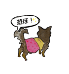 ちわわのちーさん（個別スタンプ：29）