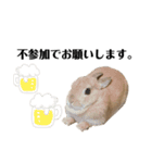 うにたそ（個別スタンプ：9）