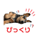 わたしししまる（個別スタンプ：14）