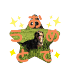 わたしししまる（個別スタンプ：17）