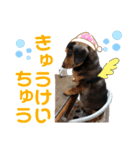 わたしししまる（個別スタンプ：21）