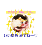 ぽこはポメなの（個別スタンプ：7）