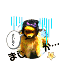 ぽこはポメなの（個別スタンプ：8）