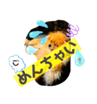 ぽこはポメなの（個別スタンプ：20）