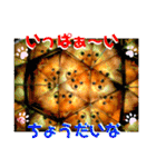 ぽこはポメなの（個別スタンプ：21）