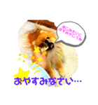 ぽこはポメなの（個別スタンプ：23）
