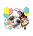 愛犬れんくん（個別スタンプ：16）