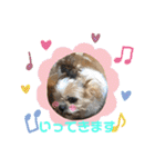 愛犬れんくん（個別スタンプ：27）