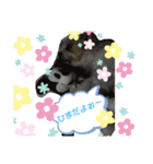 愛犬れんくん（個別スタンプ：29）