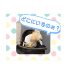 愛犬れんくん（個別スタンプ：32）