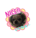 愛犬れんくん（個別スタンプ：35）