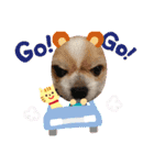 愛犬れんくん（個別スタンプ：36）