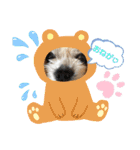 愛犬れんくん（個別スタンプ：37）