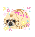 愛犬れんくん（個別スタンプ：39）
