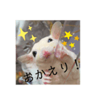 マカロニスタンプ.vol2（個別スタンプ：1）