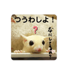 マカロニスタンプ.vol2（個別スタンプ：5）