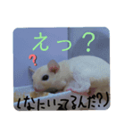 マカロニスタンプ.vol2（個別スタンプ：6）