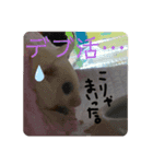 マカロニスタンプ.vol2（個別スタンプ：8）
