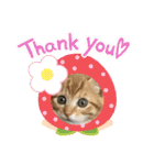 にゃんこのこはるちゃん（個別スタンプ：7）