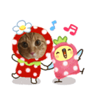にゃんこのこはるちゃん（個別スタンプ：18）