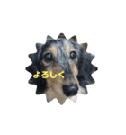 マーブルLINEスタンプ（個別スタンプ：7）