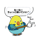 ちょいデブインコの自由な一言～セキセイ～（個別スタンプ：3）