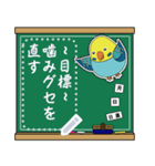 ちょいデブインコの自由な一言～セキセイ～（個別スタンプ：15）