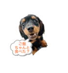 きみーのスタンプpart2（個別スタンプ：1）