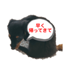 きみーのスタンプpart2（個別スタンプ：2）