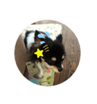 新たに（個別スタンプ：1）