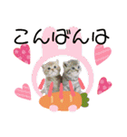 チャンプル～（個別スタンプ：14）