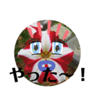 チャンプル～（個別スタンプ：17）