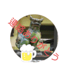 チャンプル～（個別スタンプ：24）