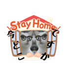 チャンプル～（個別スタンプ：34）