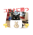 チャンプル～（個別スタンプ：40）