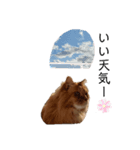 愛しのふわふわねこ（個別スタンプ：2）