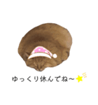 愛しのふわふわねこ（個別スタンプ：7）