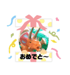 恐竜好きの為のスタンプ（個別スタンプ：27）