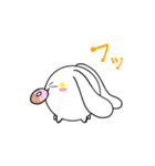 耳が万能なウサギさん（個別スタンプ：29）