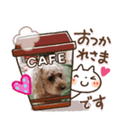 プードルスタンプNO.1（個別スタンプ：2）