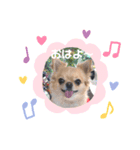 ウィズ ウィズ（個別スタンプ：1）