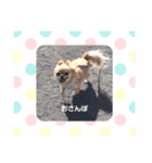 ウィズ ウィズ（個別スタンプ：6）