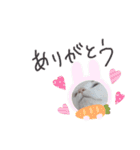 ねこもち(日常+)（個別スタンプ：19）