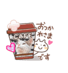 ねこもち(日常+)（個別スタンプ：26）