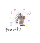 ねこもち(日常+)（個別スタンプ：29）