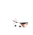 ねこもち(日常+)（個別スタンプ：31）