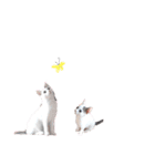 ねこもち(日常+)（個別スタンプ：34）