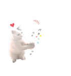 ねこもち(日常+)（個別スタンプ：35）