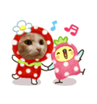 イヌ ネコ（個別スタンプ：3）