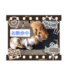 チコちゃん1歳（個別スタンプ：14）